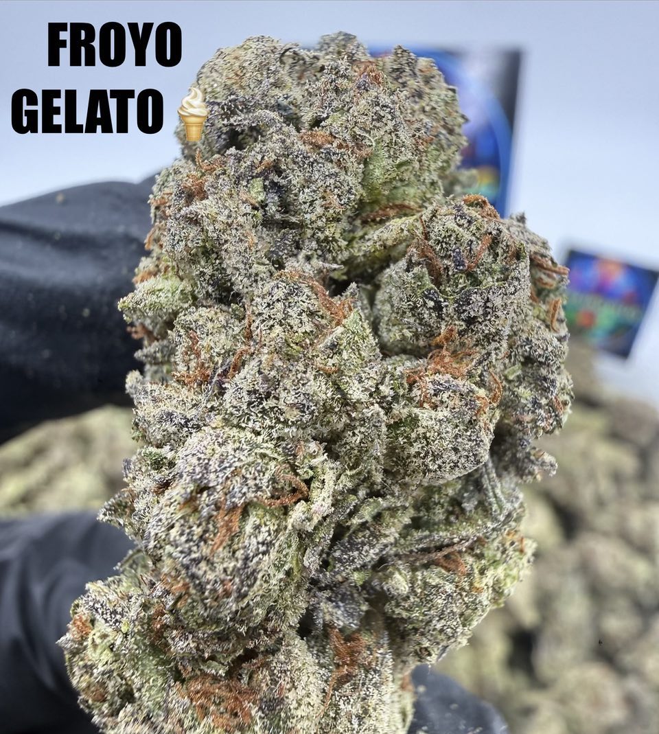 FROYO GELATO Slide 3